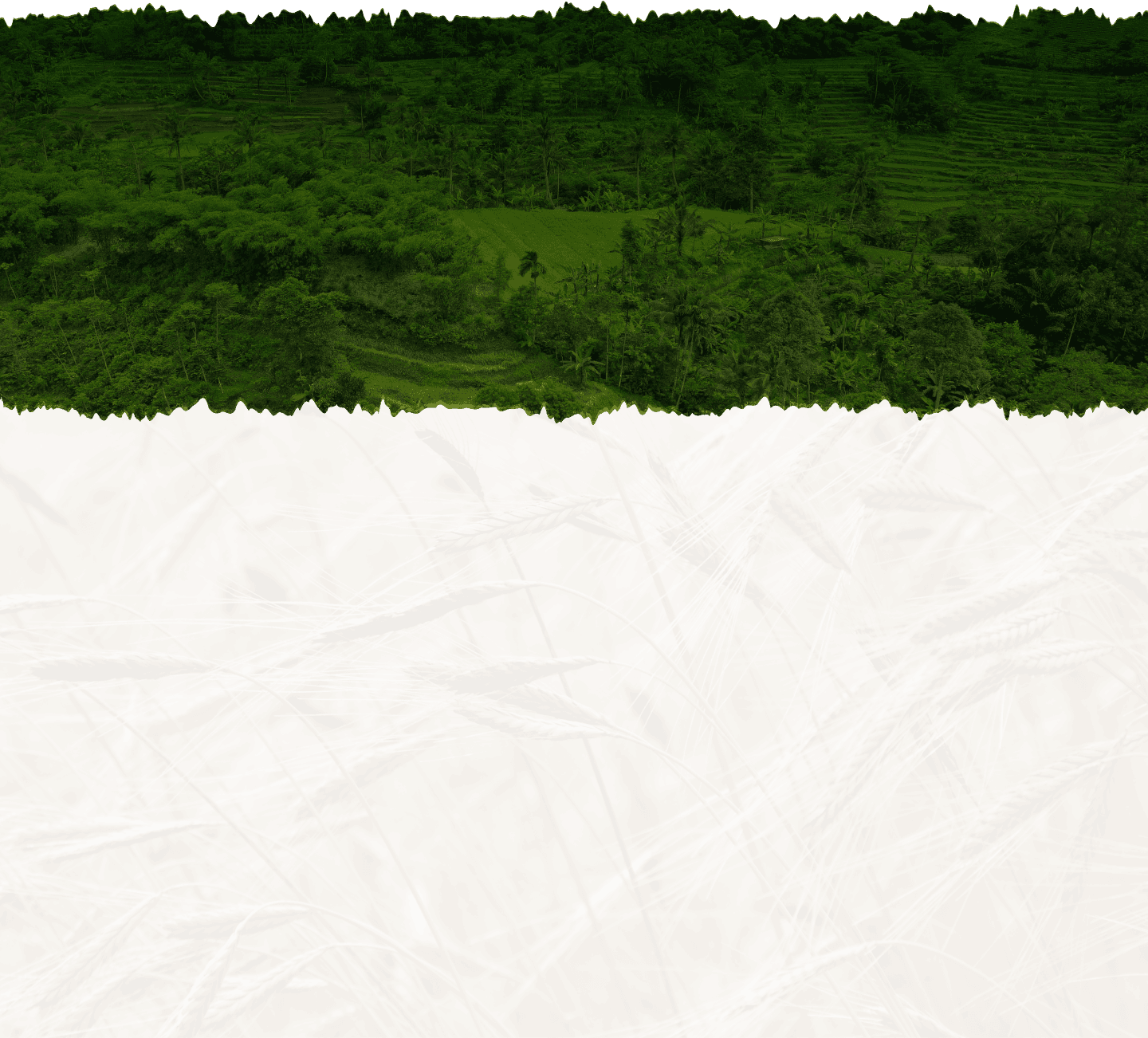Portfolio Background Image