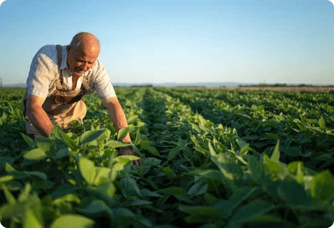 Why agriculture environment matter?