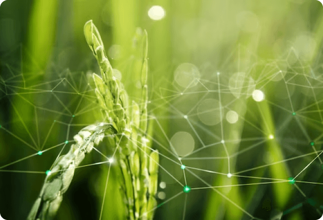 Agriculture Important for Future World